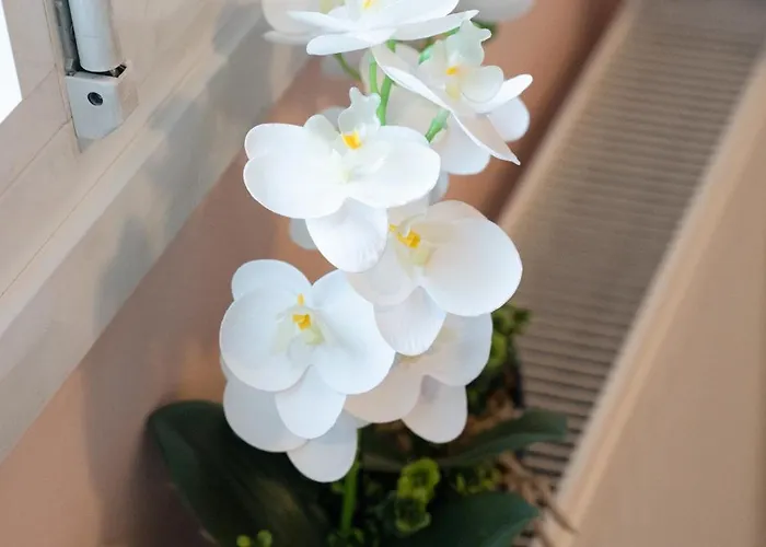 Katherine Appartement