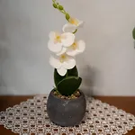 아파트 Katherine *