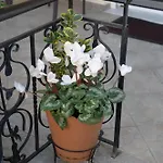 Apartament Katherine *