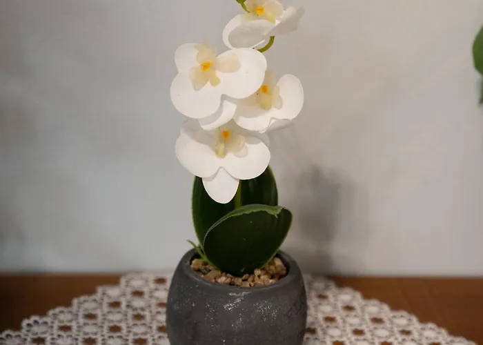 Apartment Katherine *