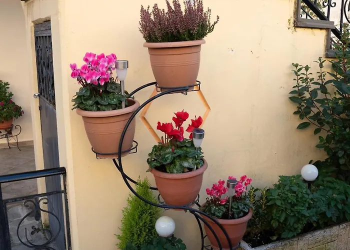 アパート Katherine *