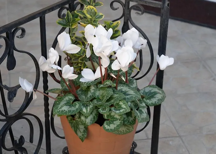 Apartment Katherine *