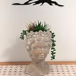 Katherine דירה